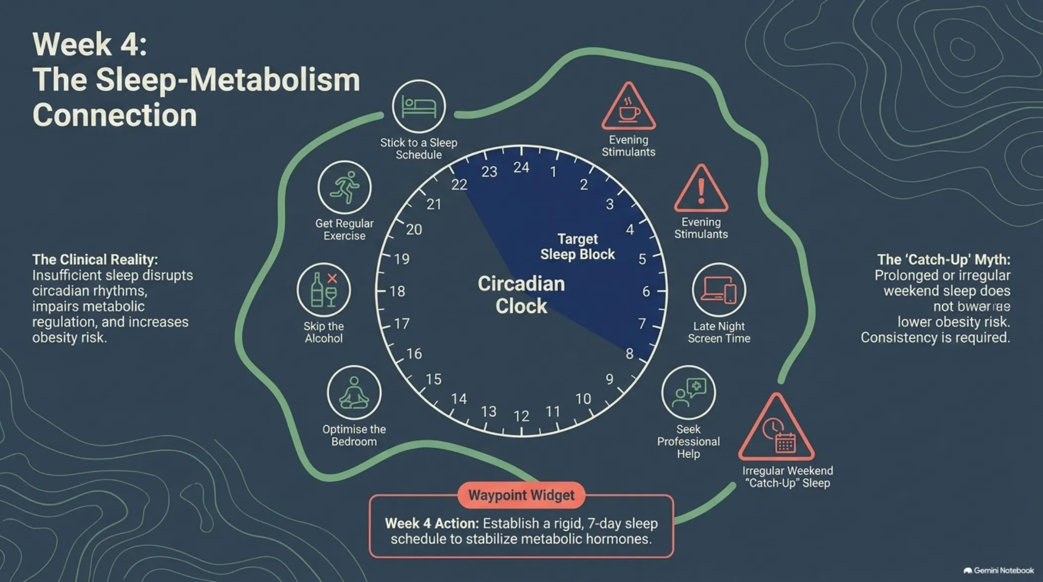 The 12-Week Patient Roadmap — slide 6