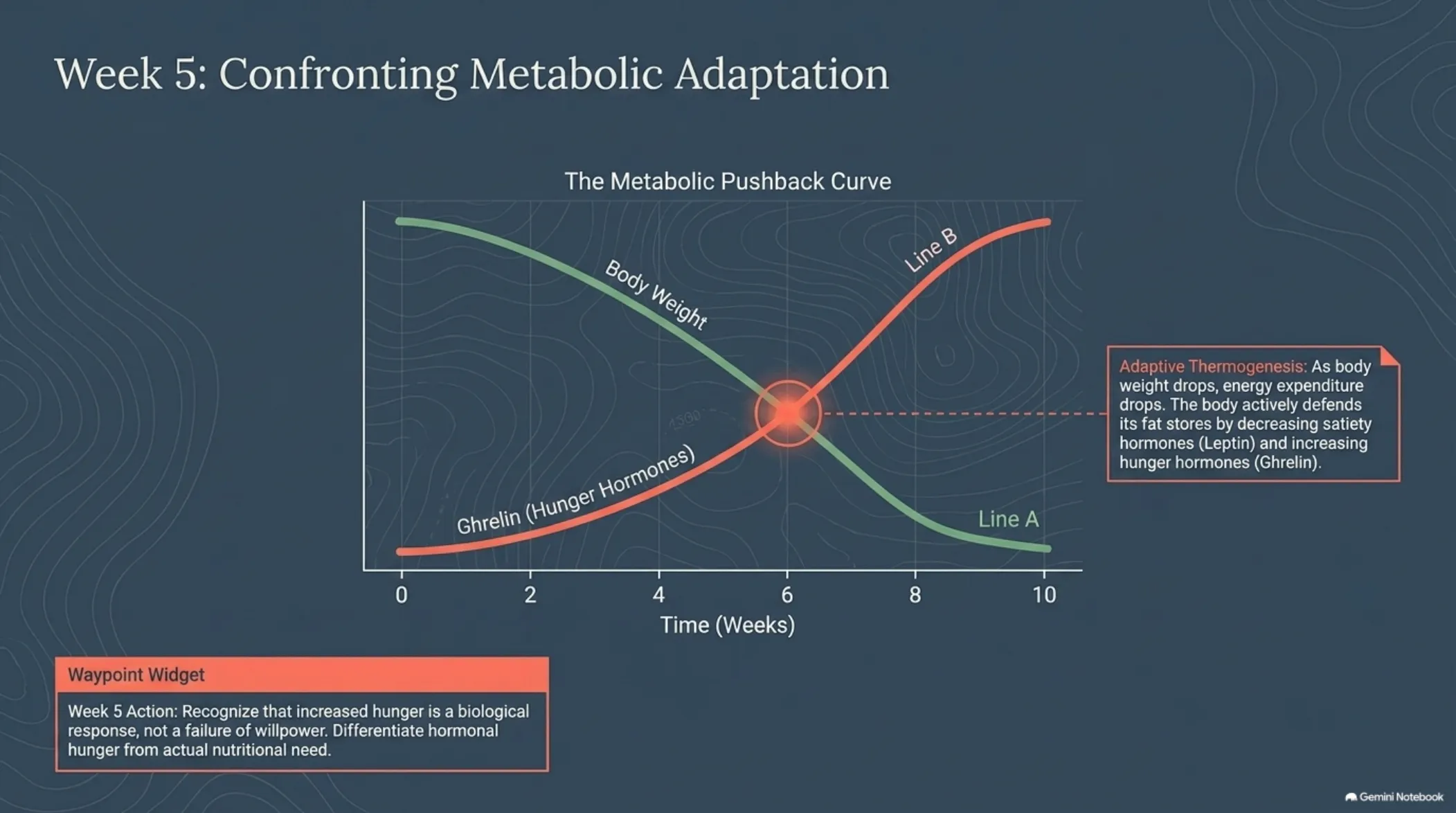 The 12-Week Patient Roadmap — slide 7