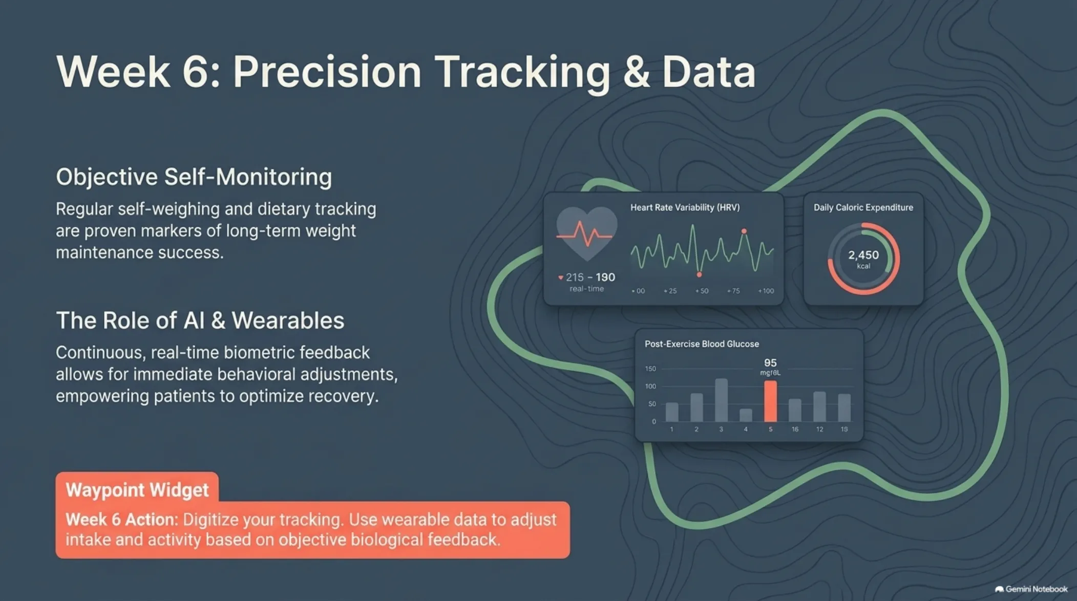 The 12-Week Patient Roadmap — slide 8