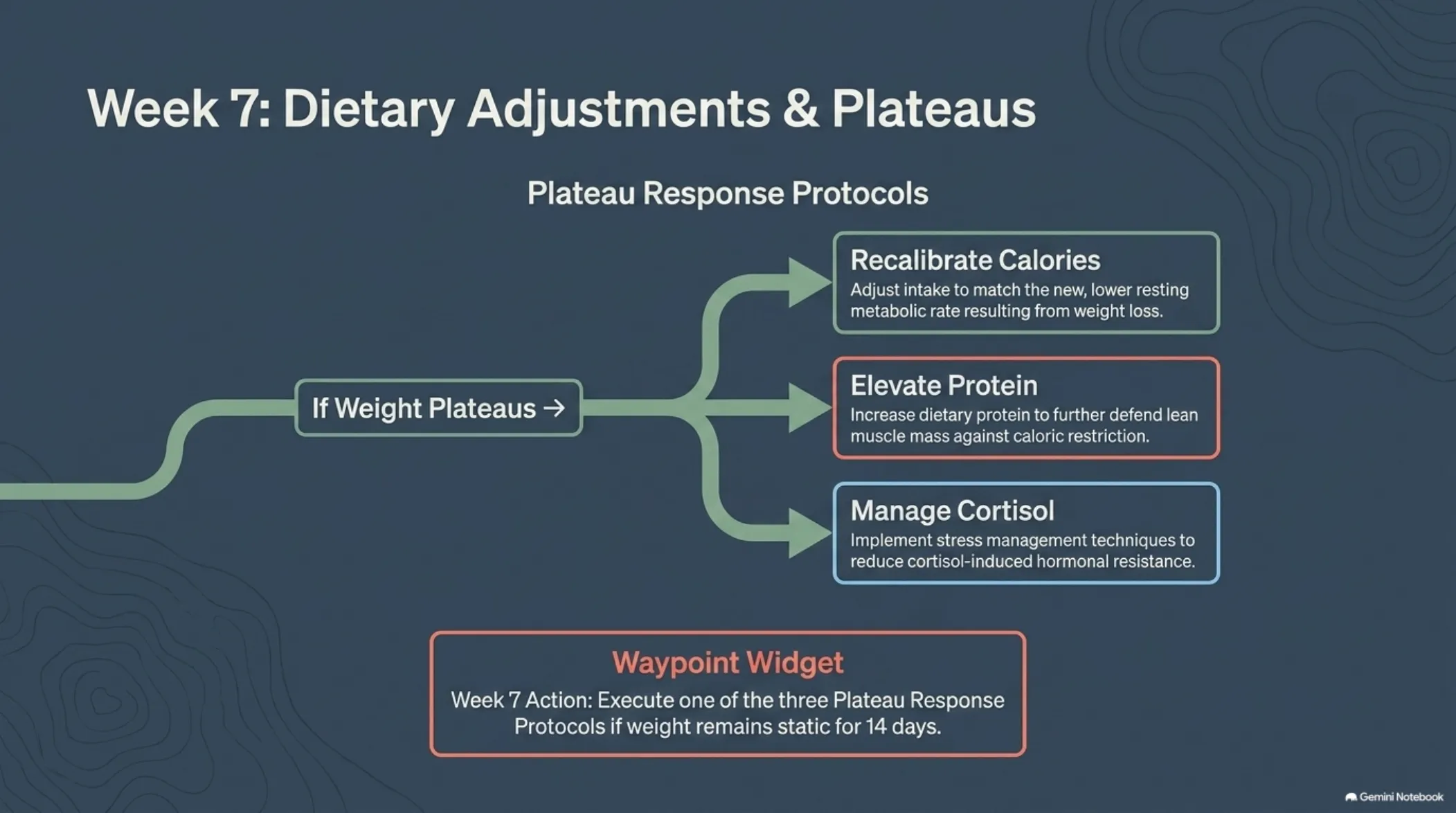 The 12-Week Patient Roadmap — slide 9