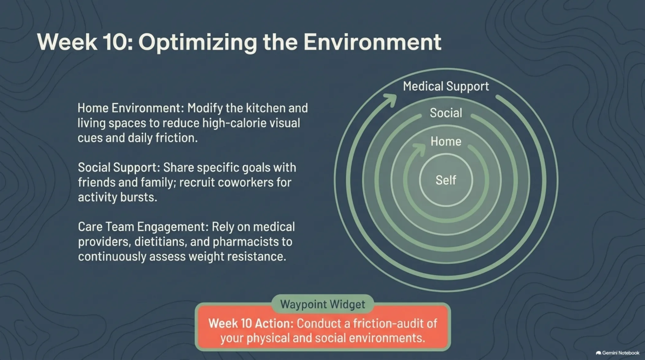 The 12-Week Patient Roadmap — slide 12