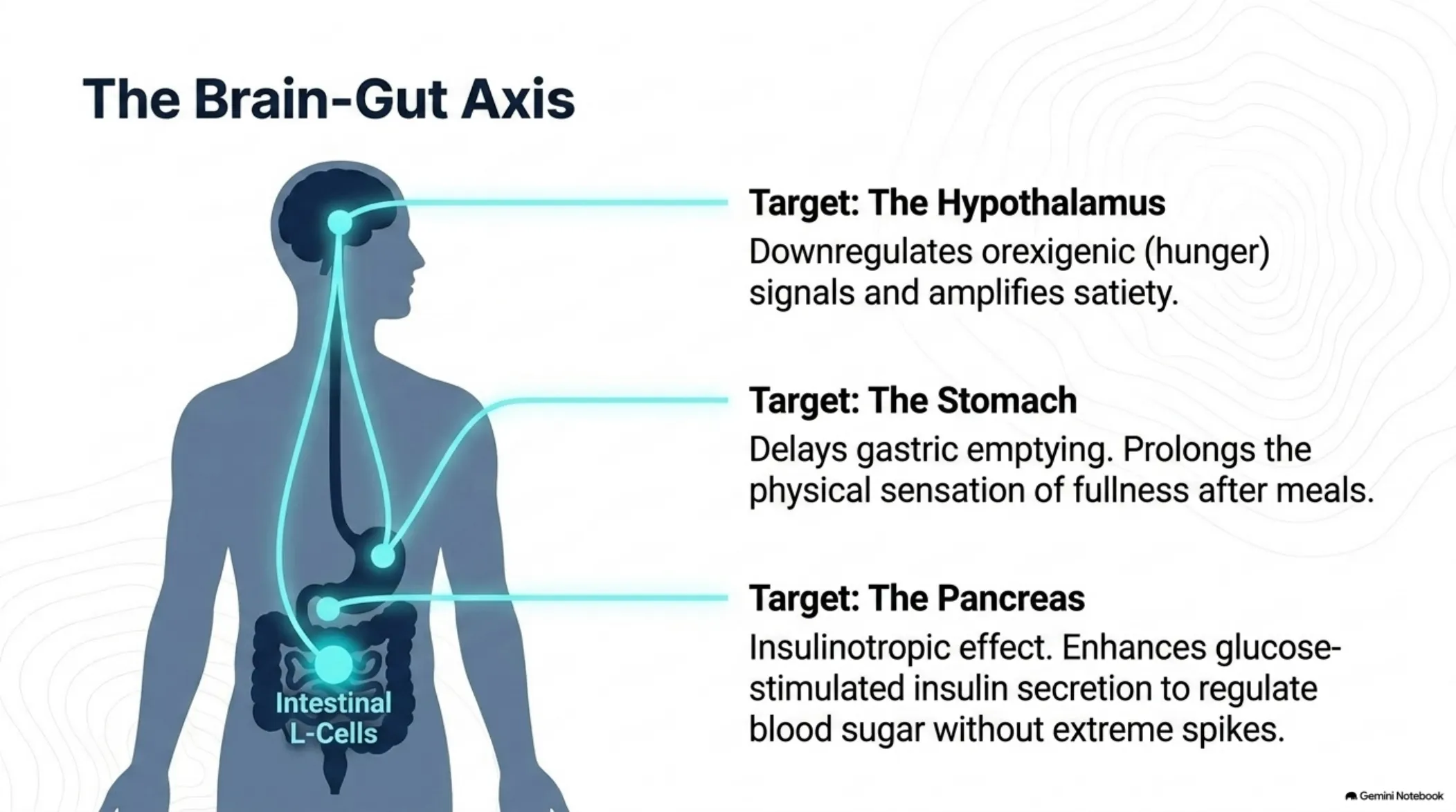 The Biological Enabler: A Clinical Roadmap to GLP-1 — slide 5