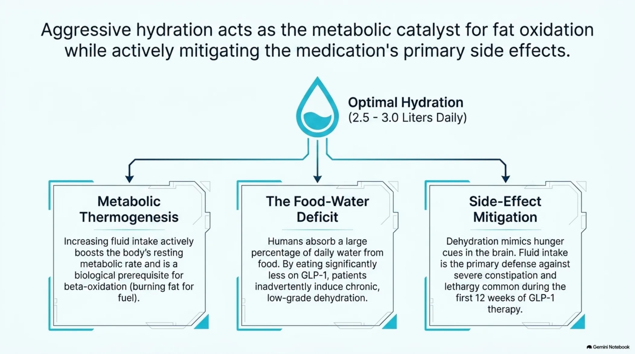 Nutrition on GLP-1: Plates, Protein, and Hydration — slide 10