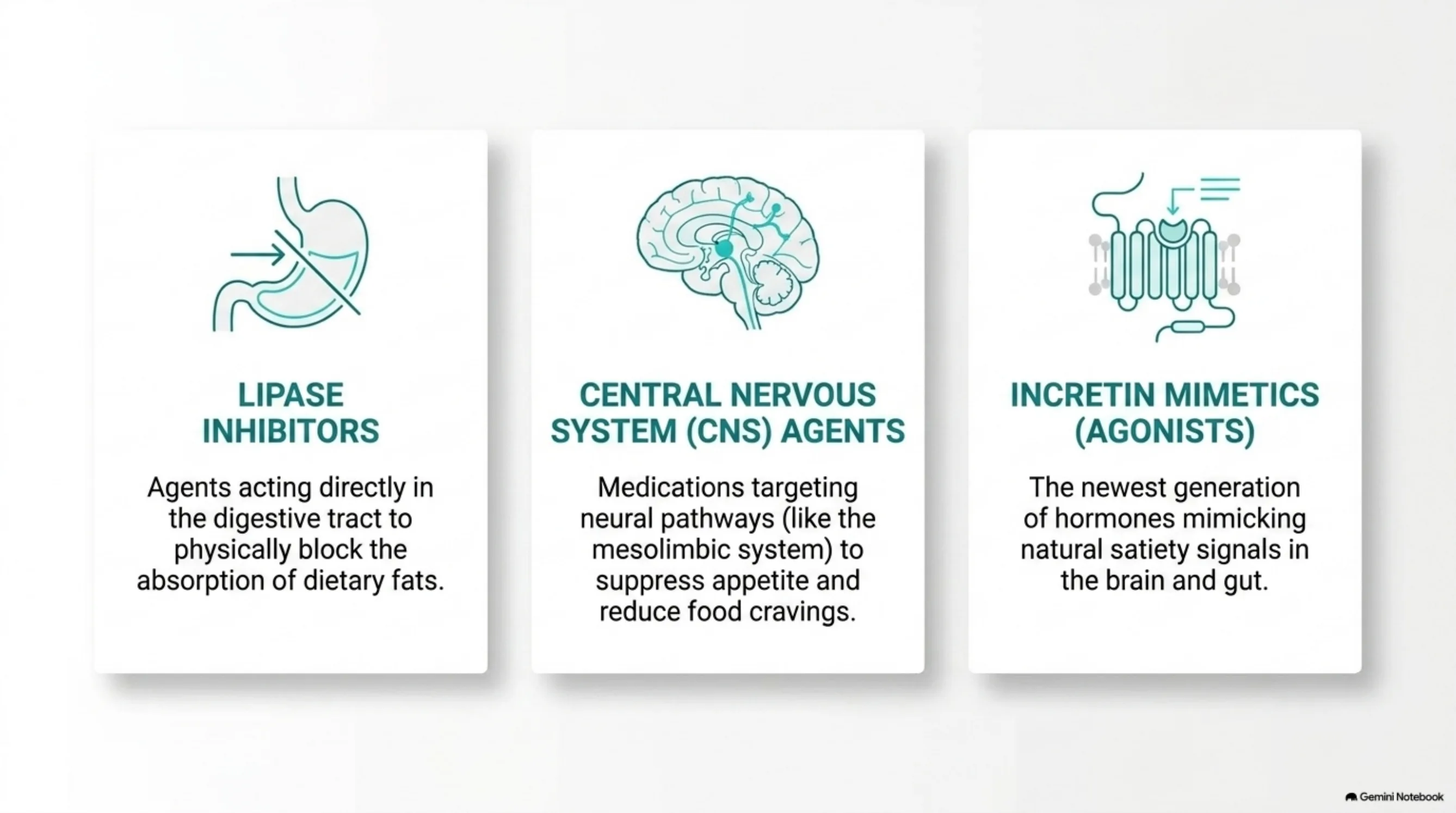 The Weight-Loss Medication Landscape — slide 3