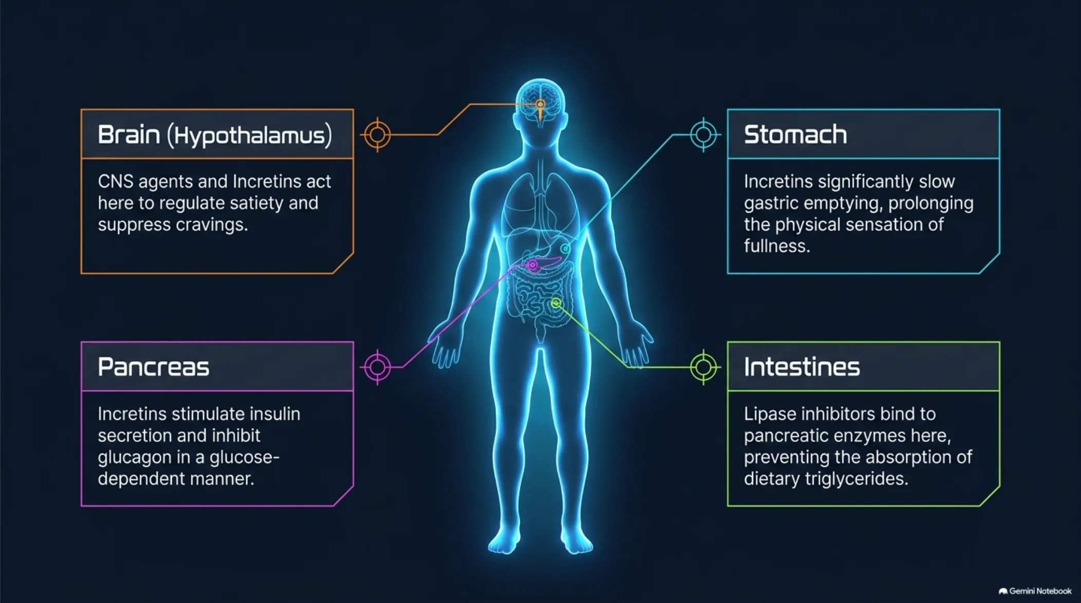 The Weight-Loss Medication Landscape — slide 4